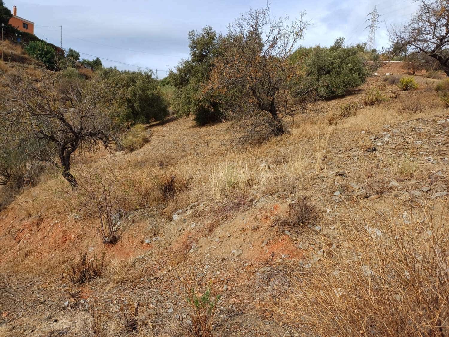 Building Plot for sale in Rincon de la Victoria - € 48,000 (Ref: 9634673)