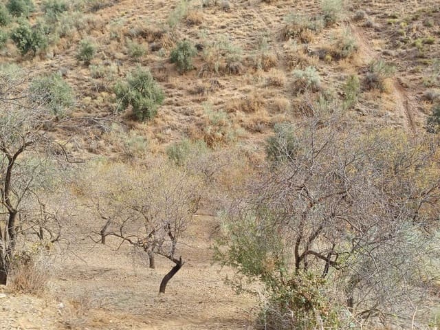 Building Plot for sale in Rincón de la Victoria - € 48,000 (Ref: 9634673)