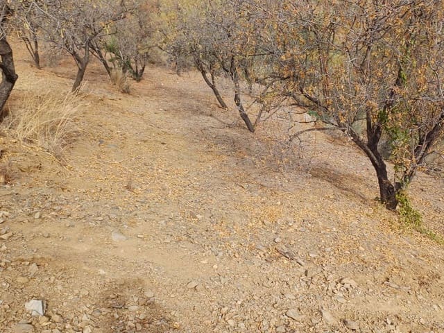 Building Plot for sale in Rincón de la Victoria - € 48,000 (Ref: 9634673)