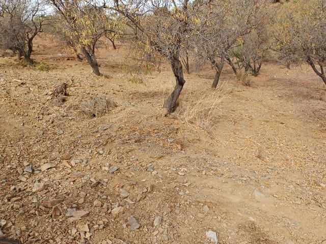 Building Plot for sale in Rincón de la Victoria - € 48,000 (Ref: 9634673)