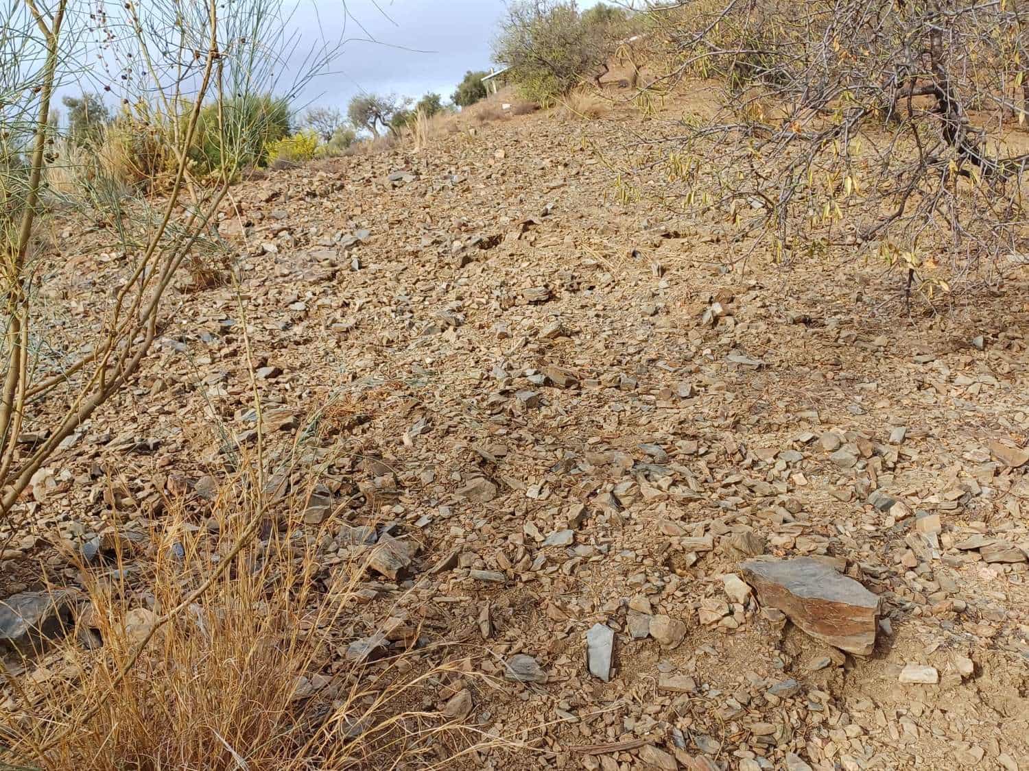 Building Plot for sale in Rincon de la Victoria - € 48,000 (Ref: 9634673)