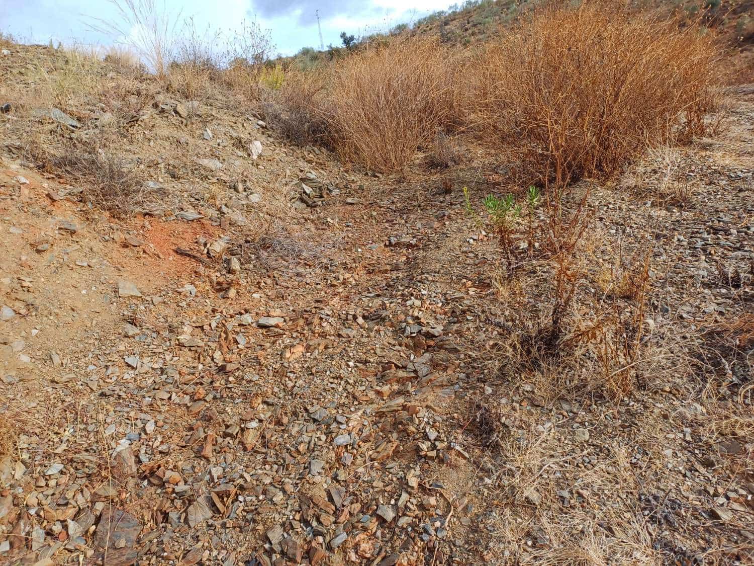 Building Plot for sale in Rincon de la Victoria - € 48,000 (Ref: 9634673)