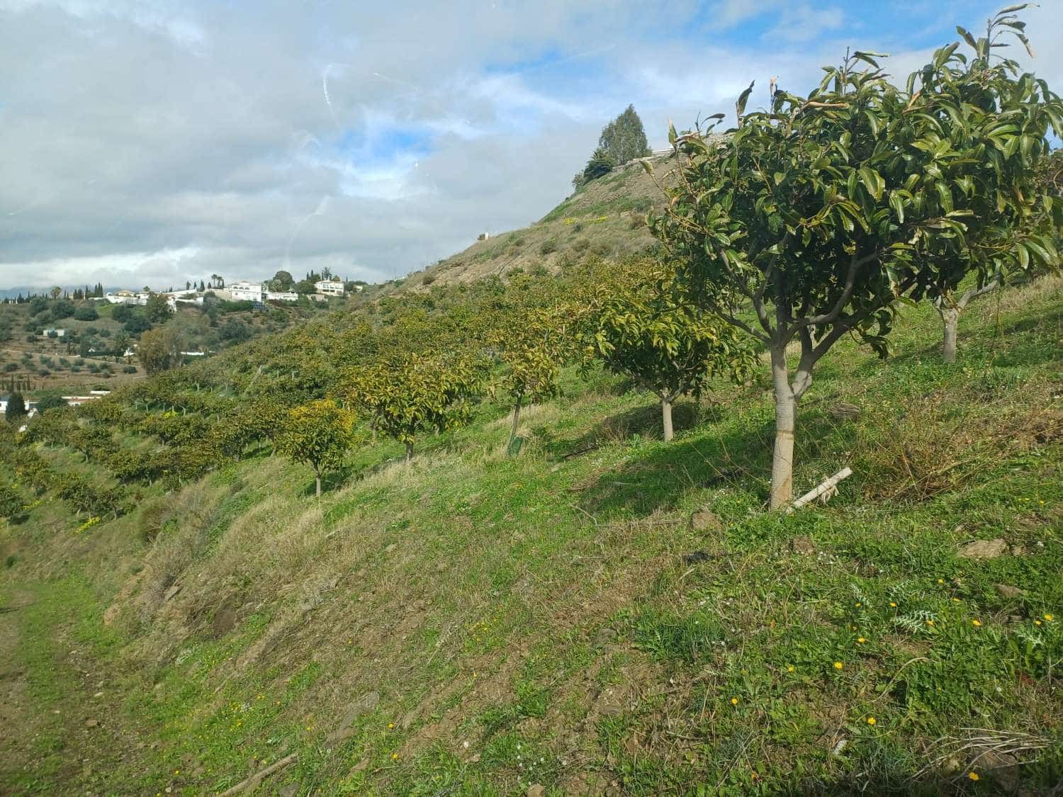 Area Edificabile in vendita in Algarrobo - 150.000 € (Rif: 9634674)