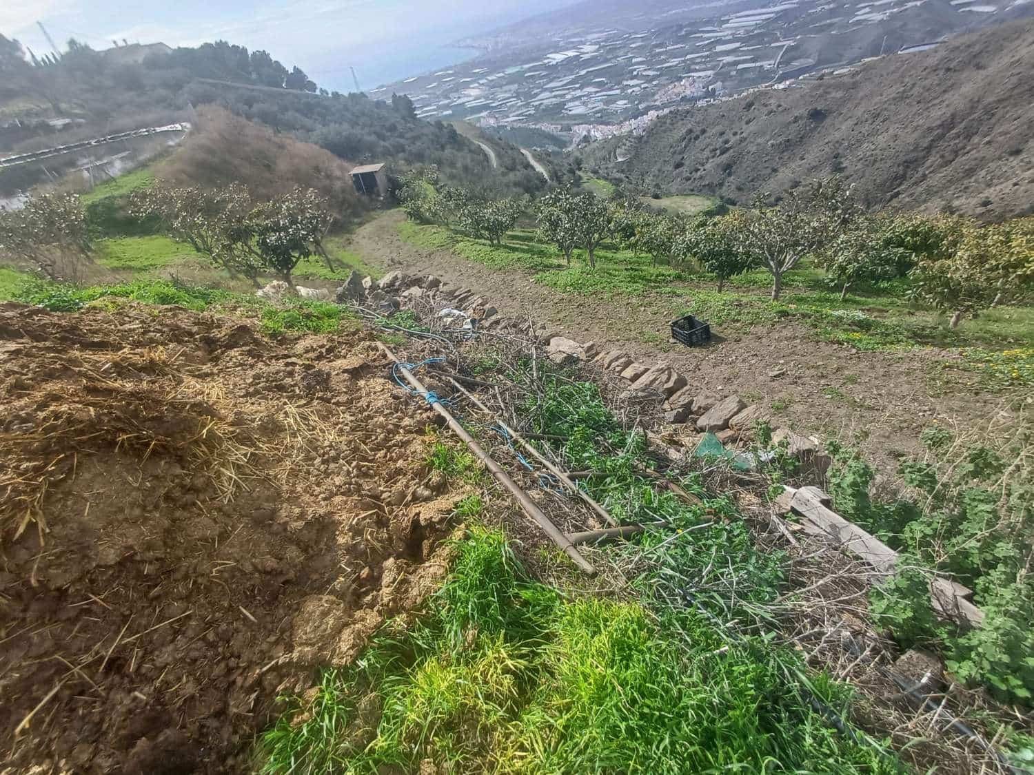 Area Edificabile in vendita in Algarrobo - 150.000 € (Rif: 9634674)