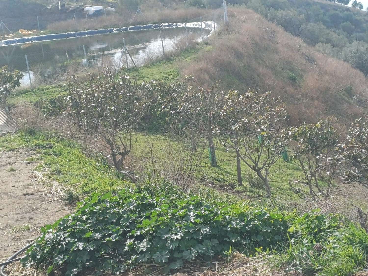 Area Edificabile in vendita in Algarrobo - 150.000 € (Rif: 9634674)