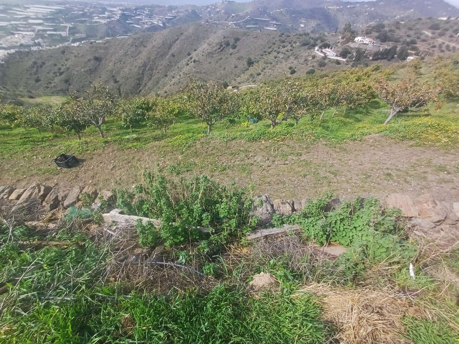 Area Edificabile in vendita in Algarrobo - 150.000 € (Rif: 9634674)