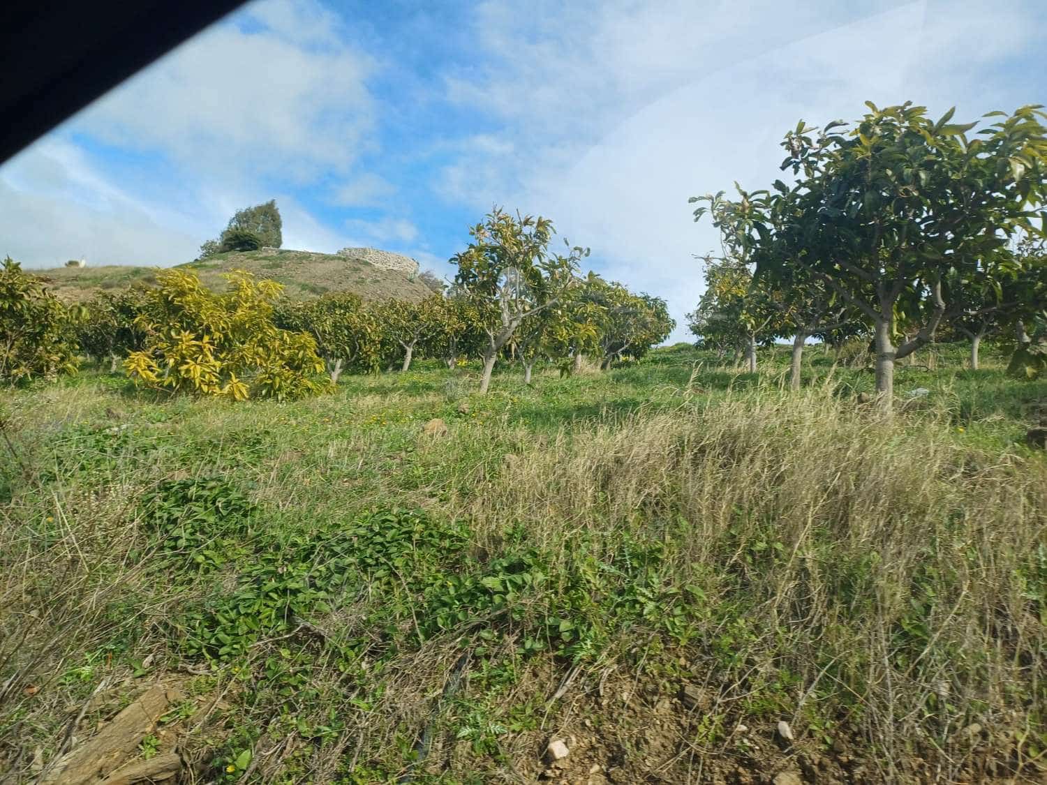 Area Edificabile in vendita in Algarrobo - 150.000 € (Rif: 9634674)