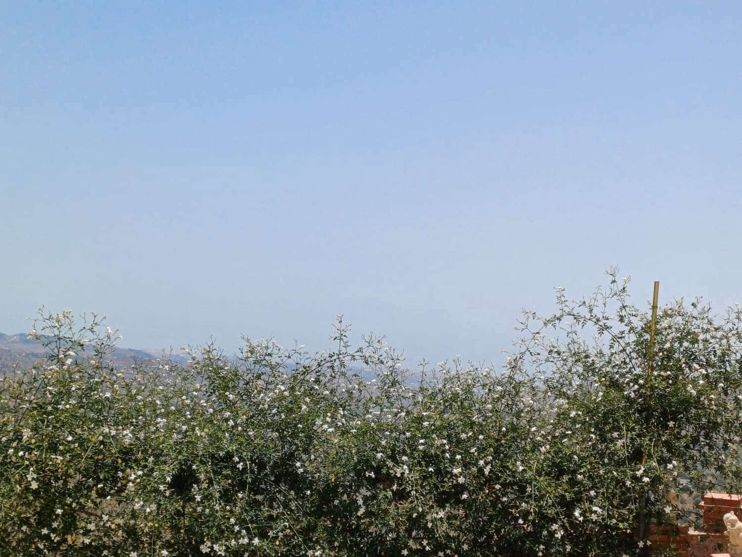 Tontti myytävänä paikassa Macharaviaya - 29 000 € (Ref: 9634675)