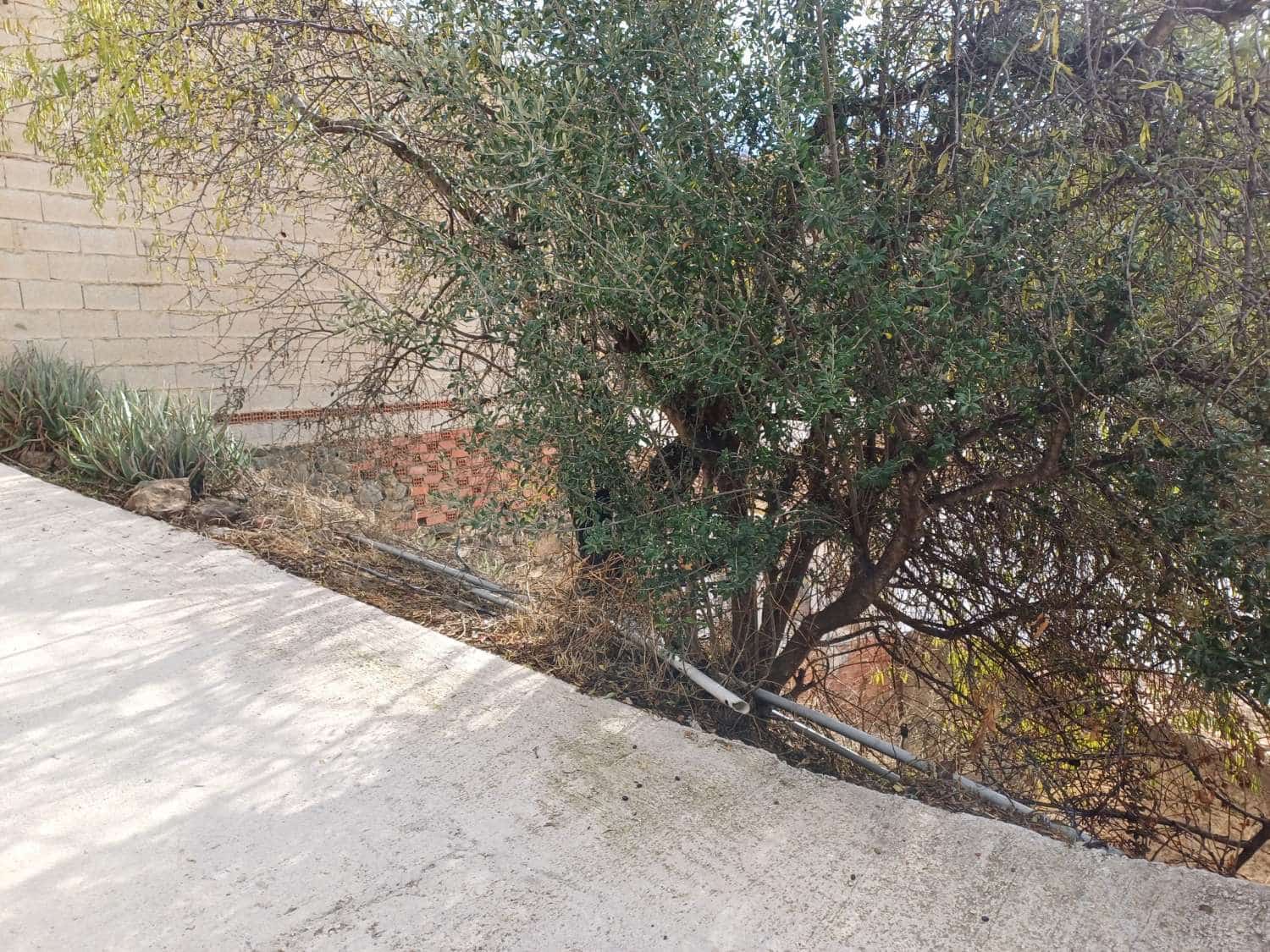 Terre non Aménagée à vendre à Almachar - 15 000 € (Ref: 9634678)