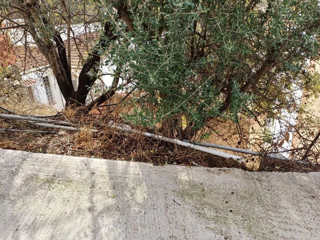 Terre non Aménagée à vendre à Almáchar - 15 000 € (Ref: 9634678)