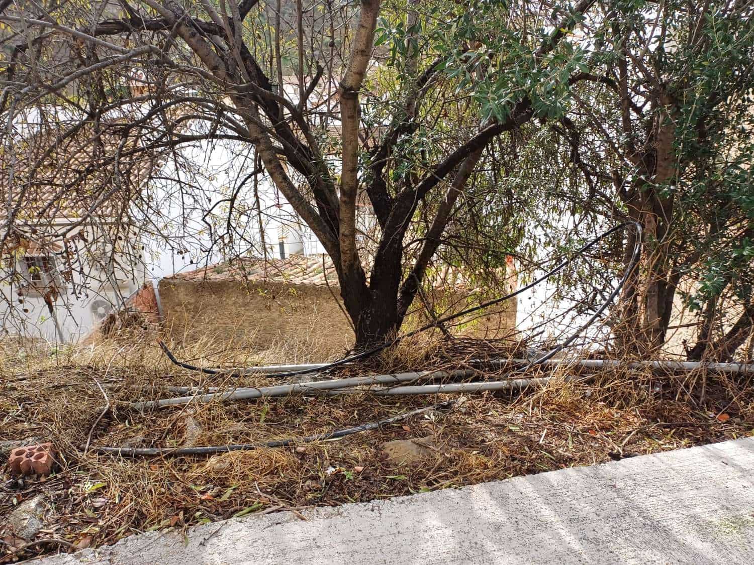 Terre non Aménagée à vendre à Almachar - 15 000 € (Ref: 9634678)