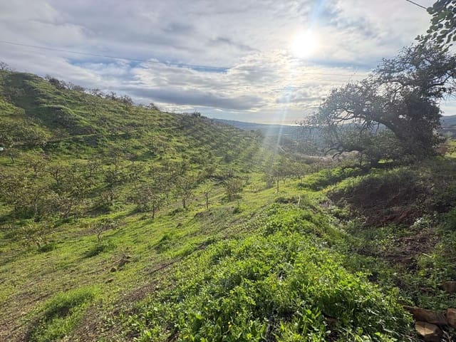 Tontti myytävänä paikassa Almáchar - 120 000 € (Ref: 9634679)