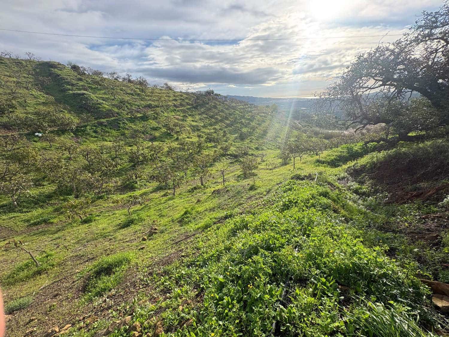 Tontti myytävänä paikassa Almachar - 120 000 € (Ref: 9634679)