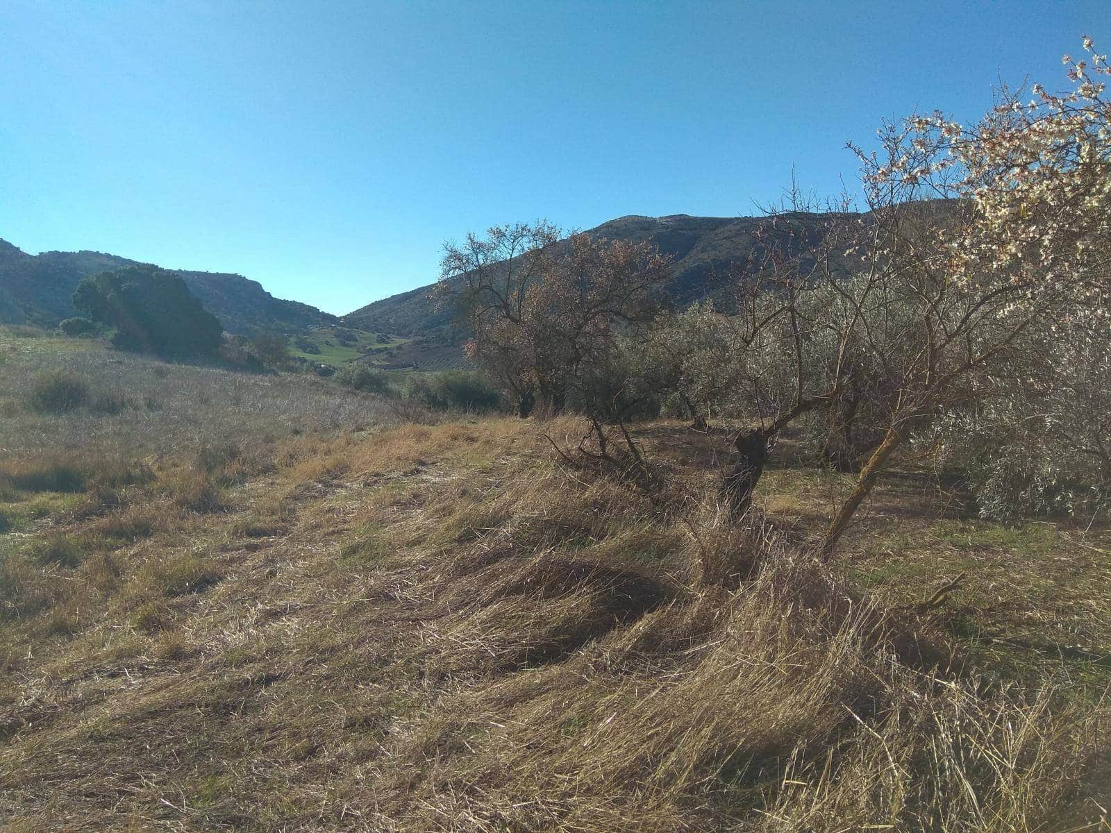 3 sypialnia Finka/Dom wiejski na sprzedaż w Alfarnate - 355 000 € (Ref: 9639061)