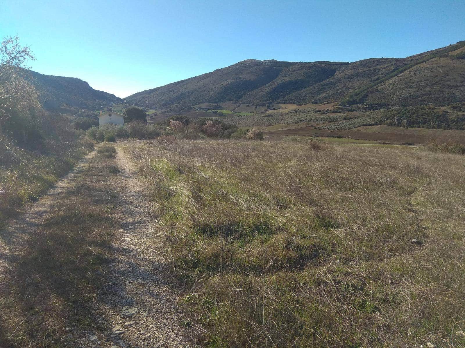 3 sypialnia Finka/Dom wiejski na sprzedaż w Alfarnate - 355 000 € (Ref: 9639061)