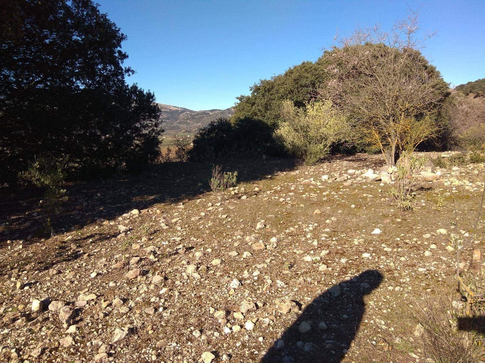 3 sypialnia Finka/Dom wiejski na sprzedaż w Alfarnate - 355 000 € (Ref: 9639061)