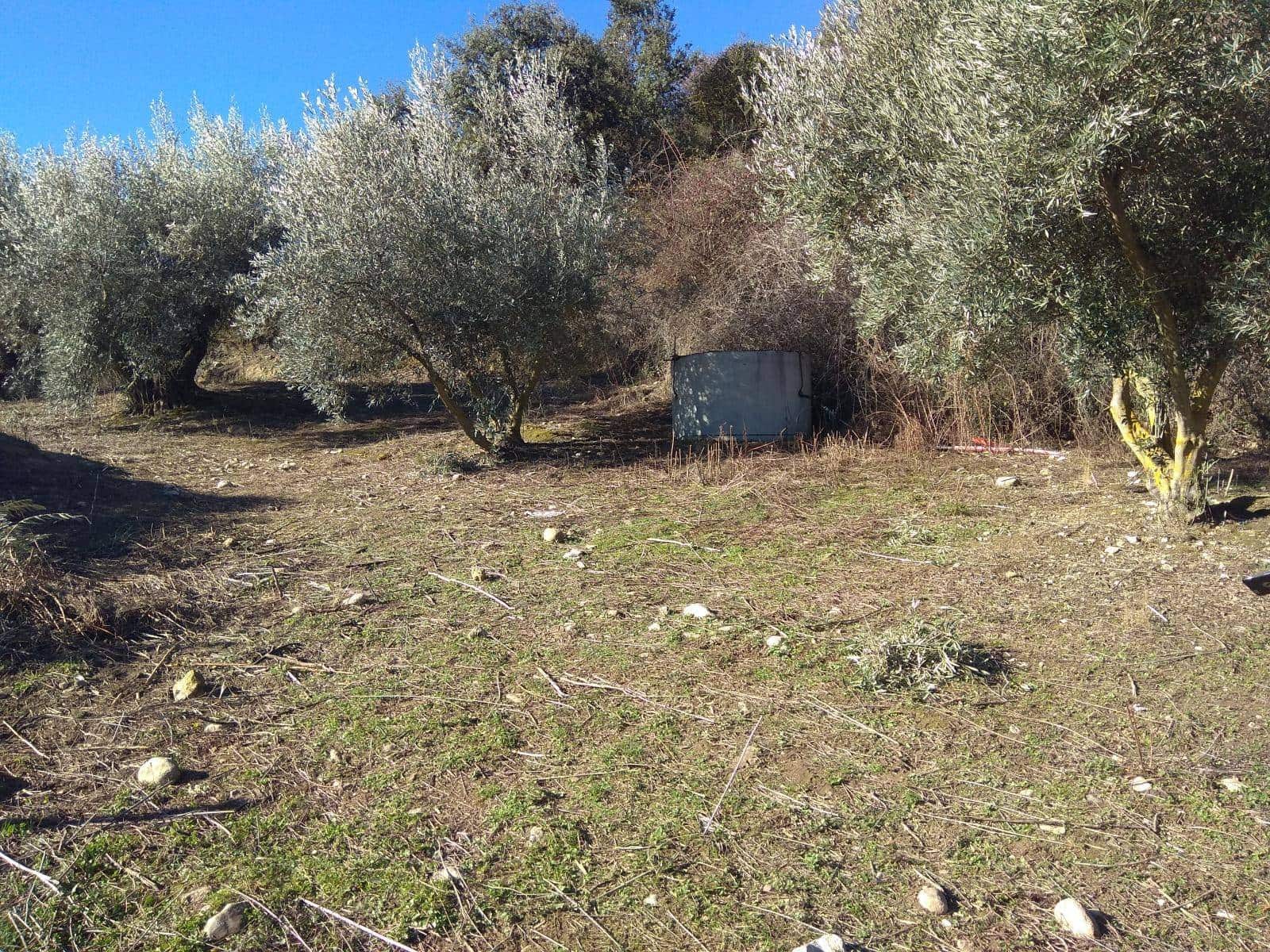 3 sypialnia Finka/Dom wiejski na sprzedaż w Alfarnate - 355 000 € (Ref: 9639061)