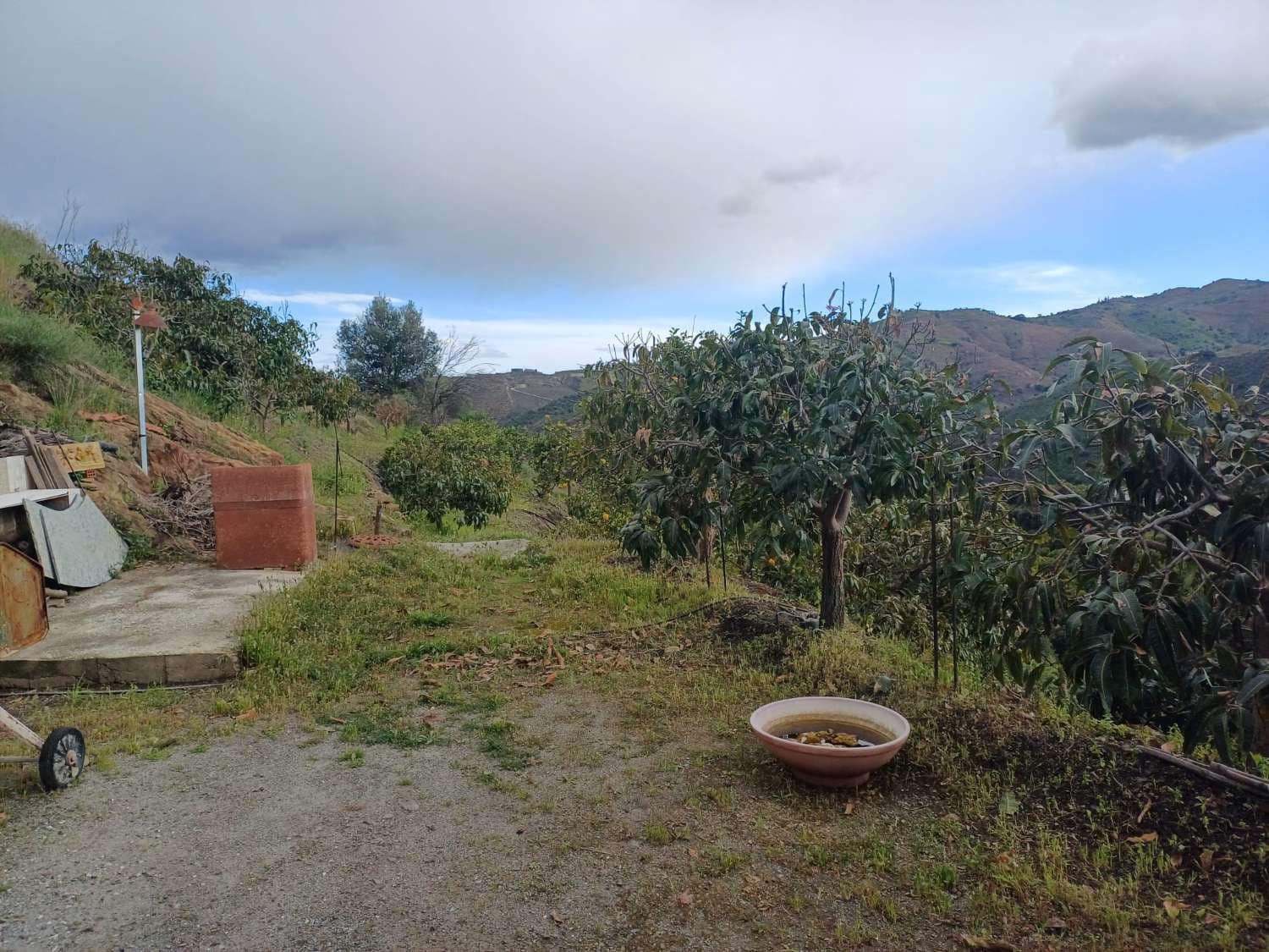 3 sypialnia Finka/Dom wiejski na sprzedaż w Almachar z basenem - 255 000 € (Ref: 9679436)