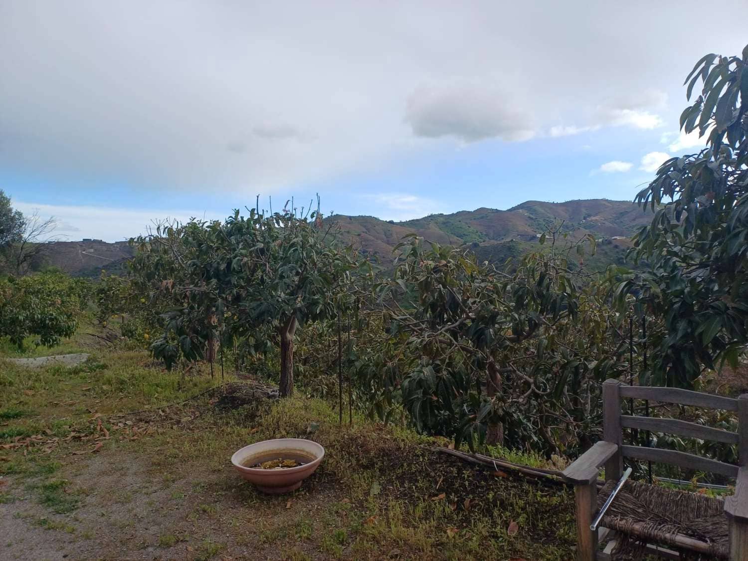 3 sypialnia Finka/Dom wiejski na sprzedaż w Almachar z basenem - 255 000 € (Ref: 9679436)