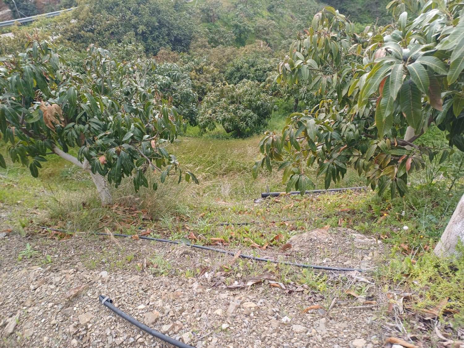 3 sypialnia Finka/Dom wiejski na sprzedaż w Almachar z basenem - 255 000 € (Ref: 9679436)