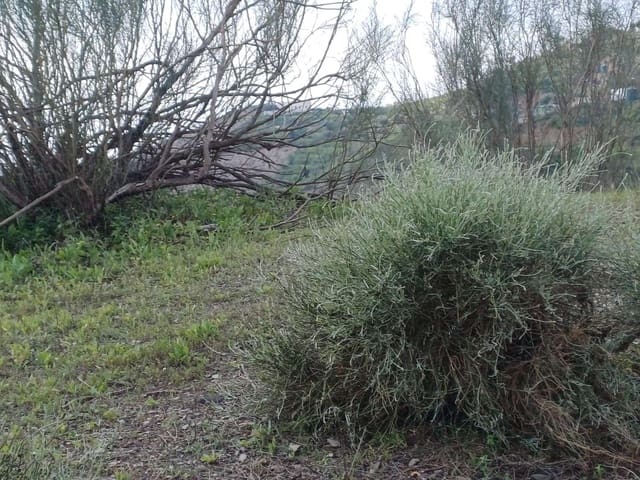 Tomt till salu i Rincón de la Victoria - 18 000 € (Ref: 9711061)