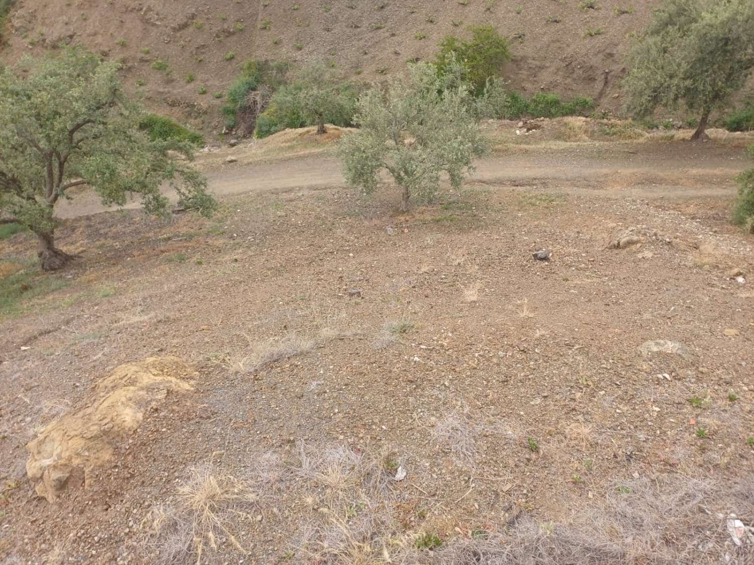 3 soveværelse Finca/Landehus til salg i Almachar - € 240.000 (Ref: 9755311)