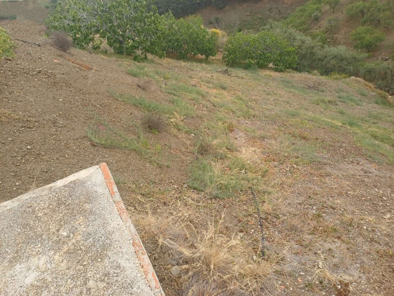 3 soveværelse Finca/Landehus til salg i Almachar - € 240.000 (Ref: 9755311)