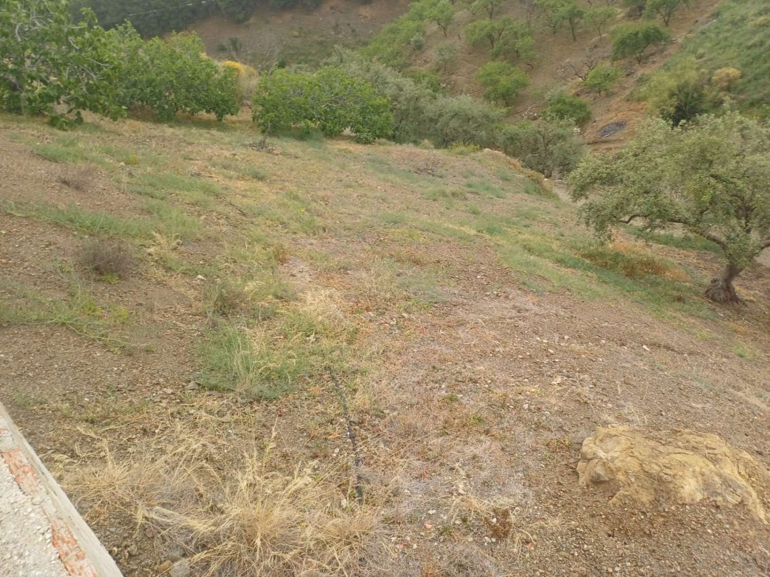 3 soveværelse Finca/Landehus til salg i Almachar - € 240.000 (Ref: 9755311)