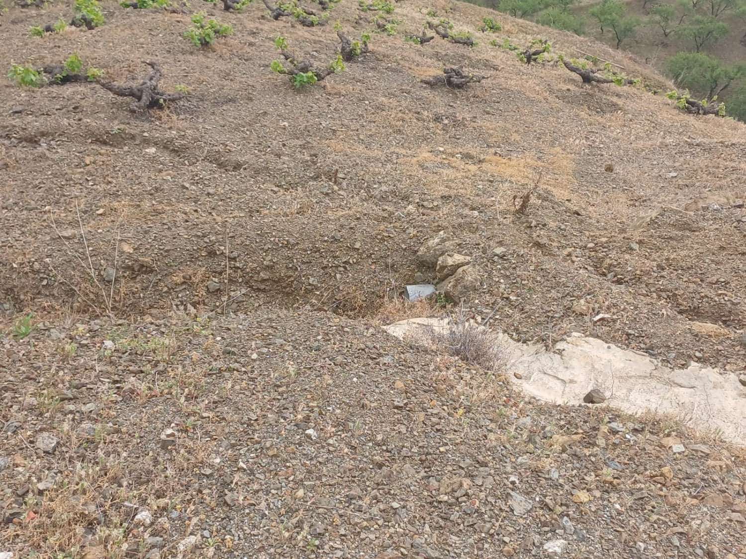 3 soveværelse Finca/Landehus til salg i Almachar - € 240.000 (Ref: 9755311)