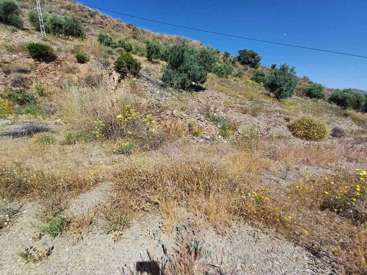 Bauplatz zu verkaufen in Moclinejo - 132.000 € (Ref: 9811204)
