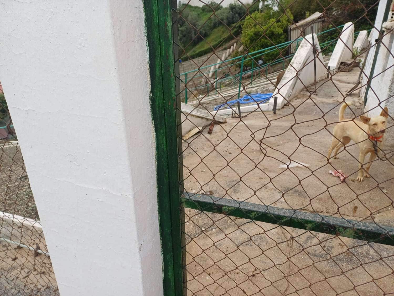 Terreno Non Edificato in vendita in Almachar - 120.000 € (Rif: 9816974)