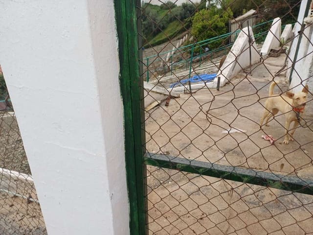 Mark till salu i Almáchar - 120 000 € (Ref: 9816974)