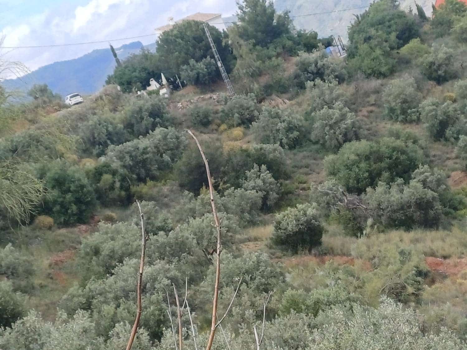 Building Plot for sale in Moclinejo - € 14,000 (Ref: 9828249)