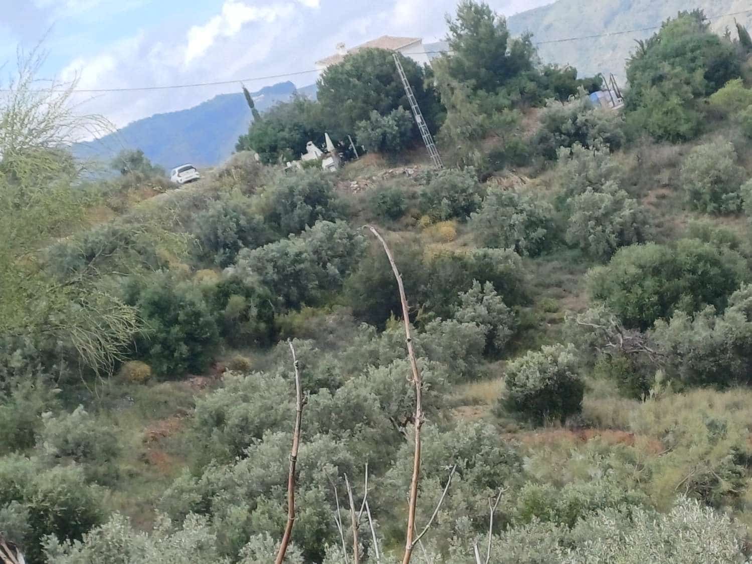 Building Plot for sale in Moclinejo - € 14,000 (Ref: 9828249)