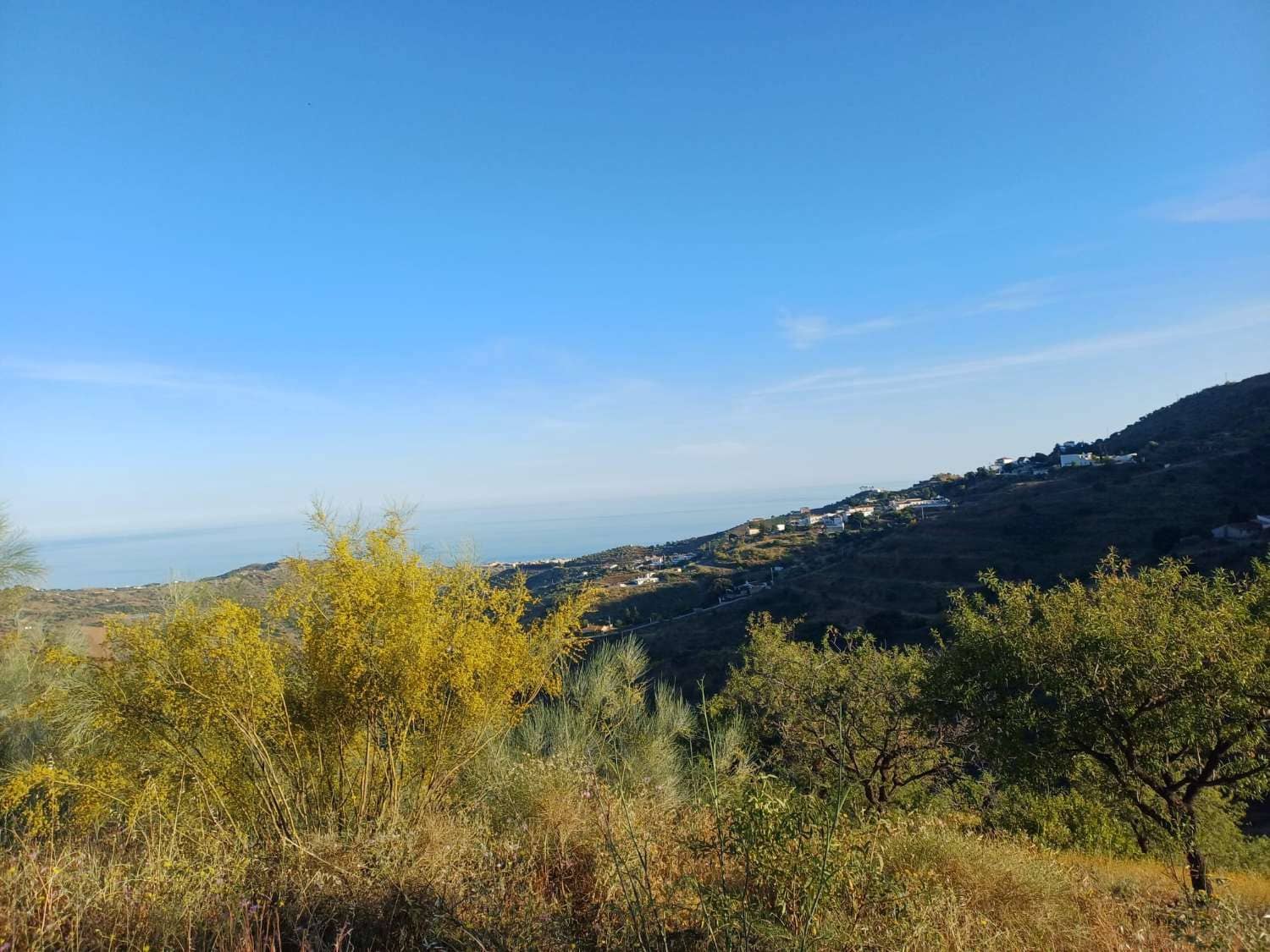 Terreno para Construção para venda em Moclinejo - 45 000 € (Ref: 9872931)