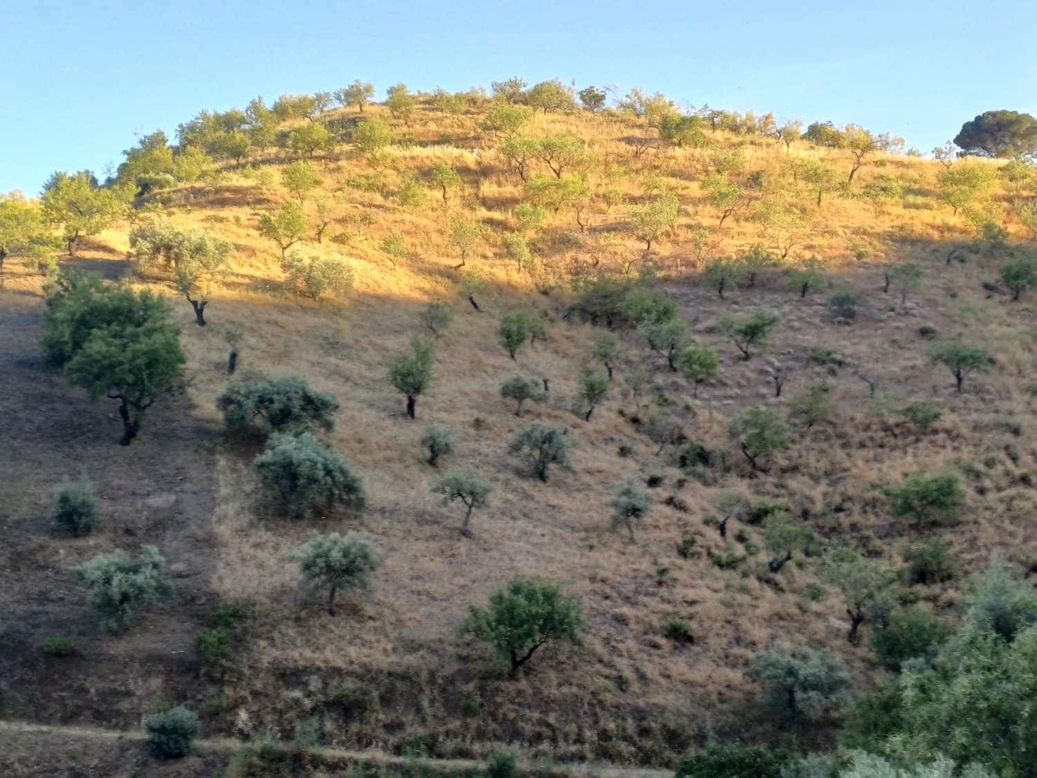Terreno para Construção para venda em Moclinejo - 45 000 € (Ref: 9872931)