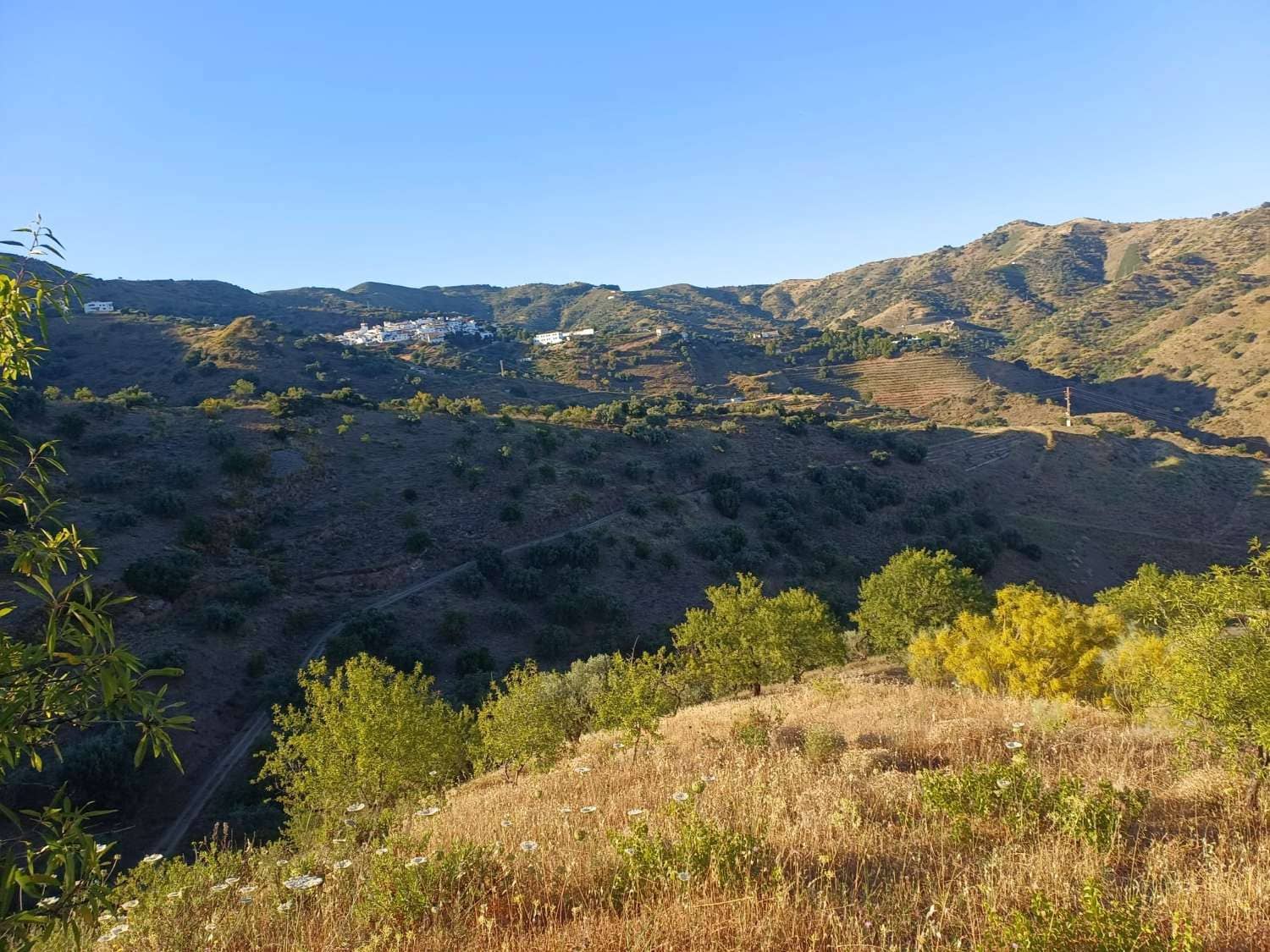 Terreno para Construção para venda em Moclinejo - 45 000 € (Ref: 9872931)