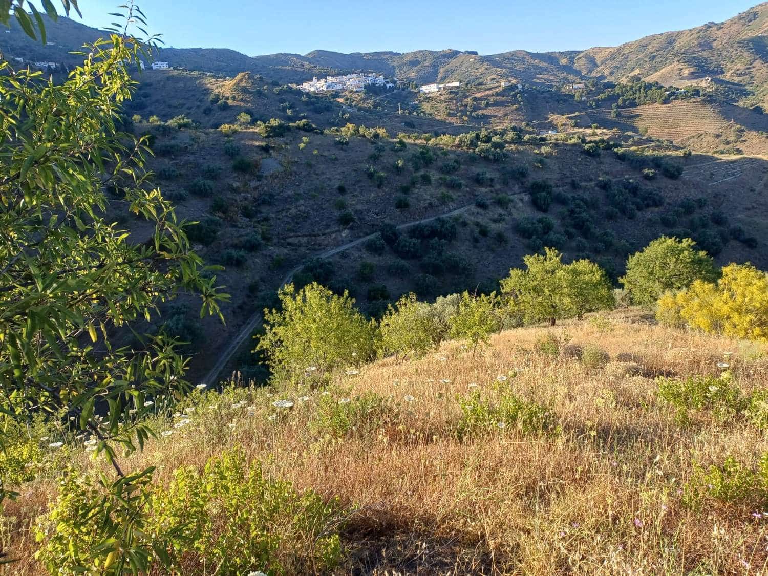 Terreno para Construção para venda em Moclinejo - 45 000 € (Ref: 9872931)