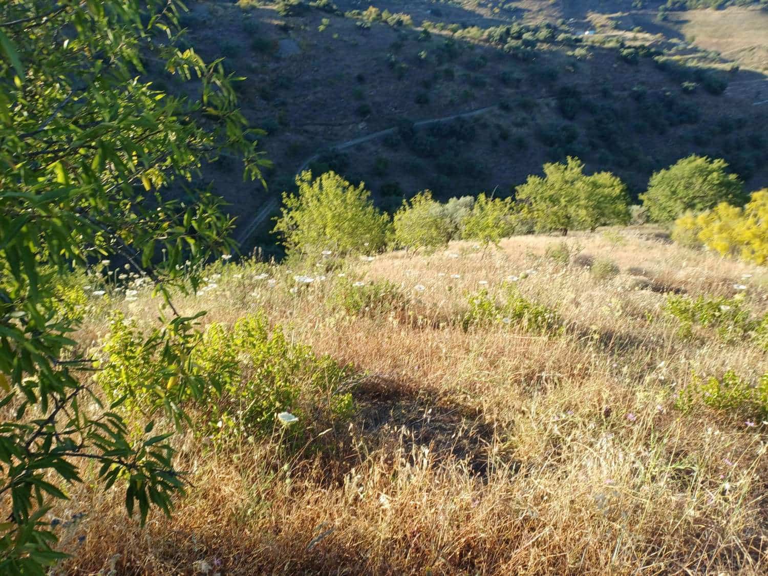 Terreno para Construção para venda em Moclinejo - 45 000 € (Ref: 9872931)