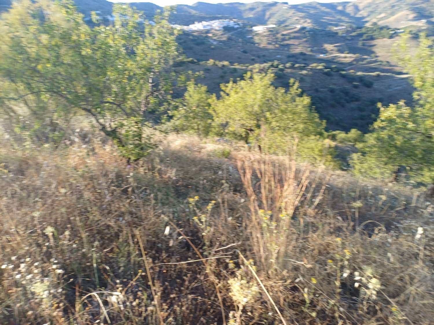 Terreno para Construção para venda em Moclinejo - 45 000 € (Ref: 9872931)