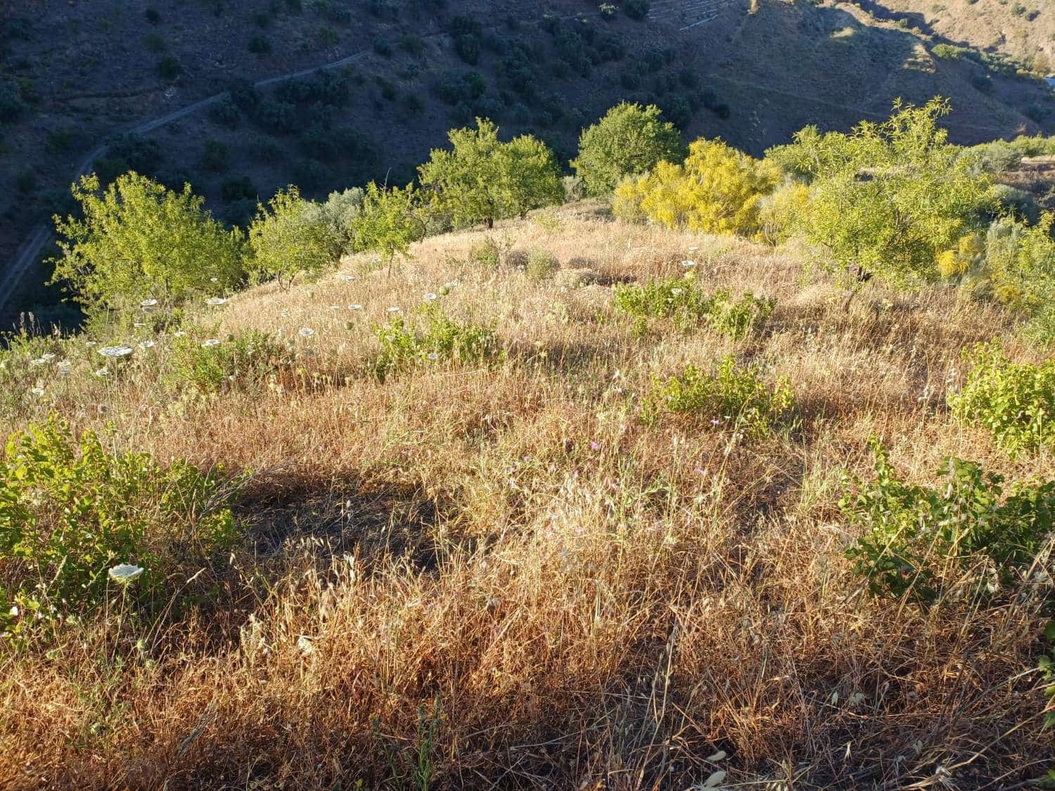Terreno para Construção para venda em Moclinejo - 45 000 € (Ref: 9872931)