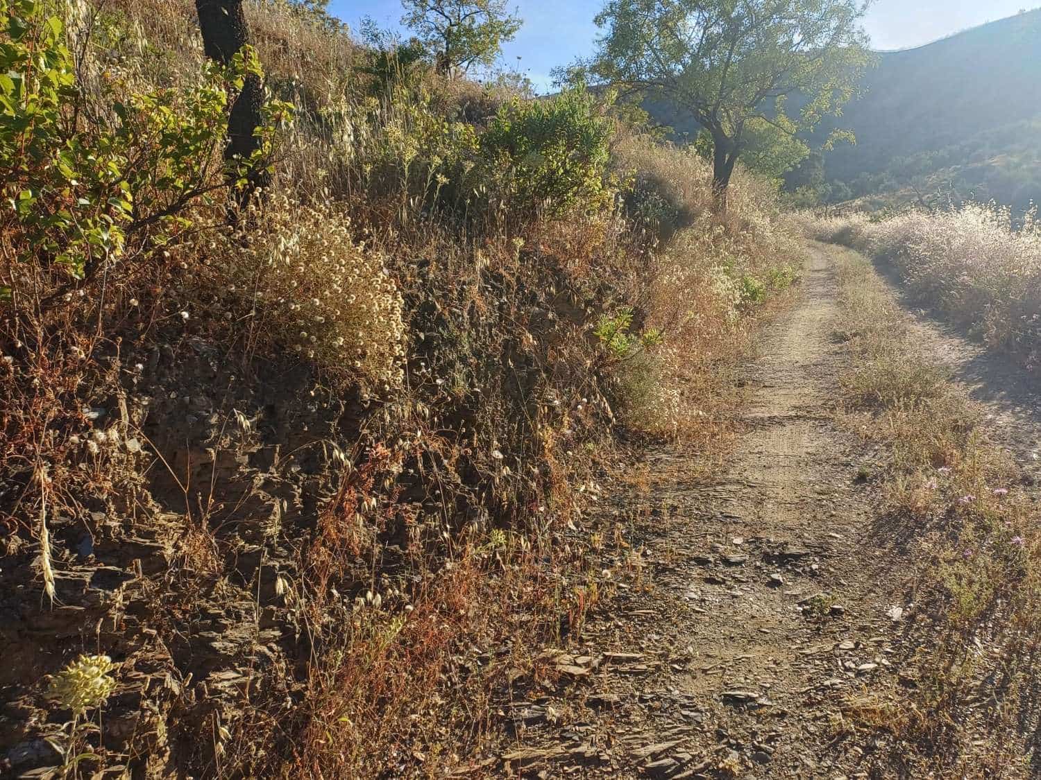 Terreno para Construção para venda em Moclinejo - 45 000 € (Ref: 9872931)