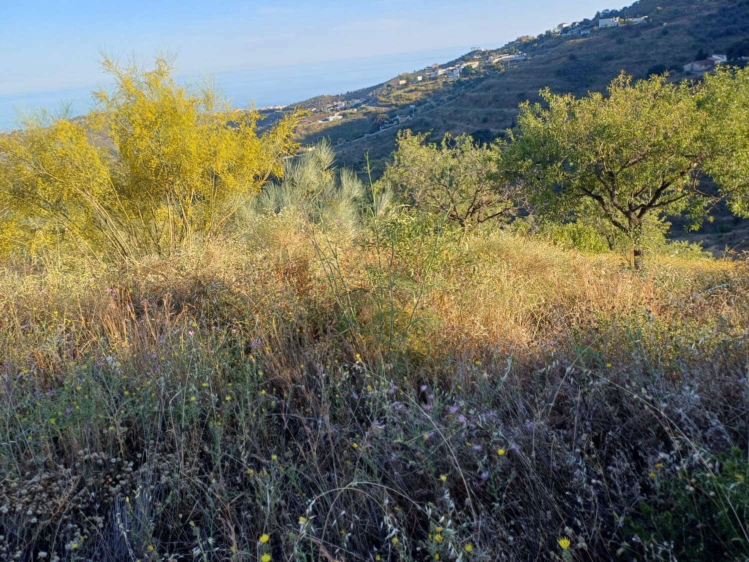 Terreno para Construção para venda em Moclinejo - 45 000 € (Ref: 9872931)