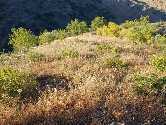 Terreno para Construção para venda em Moclinejo - 45 000 € (Ref: 9872931)