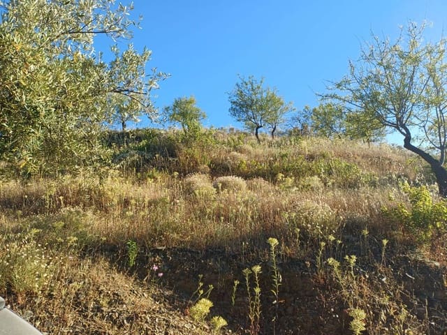 Terreno para Construção para venda em Moclinejo - 45 000 € (Ref: 9872931)