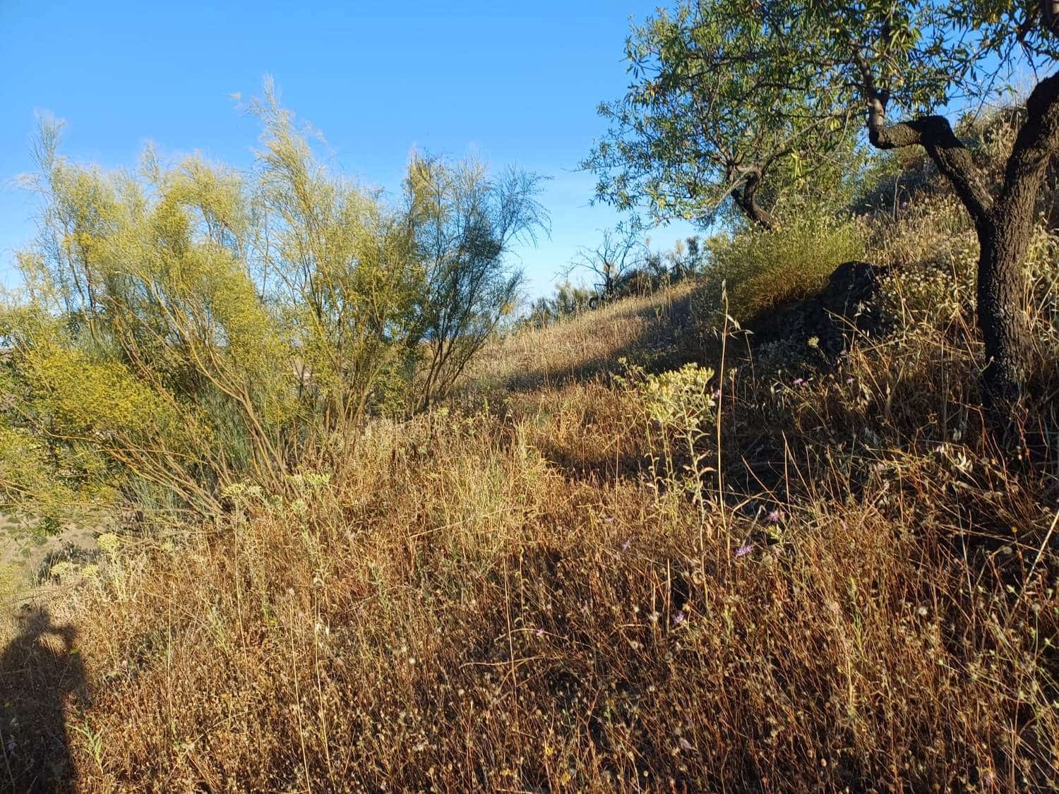 Terreno para Construção para venda em Moclinejo - 45 000 € (Ref: 9872931)