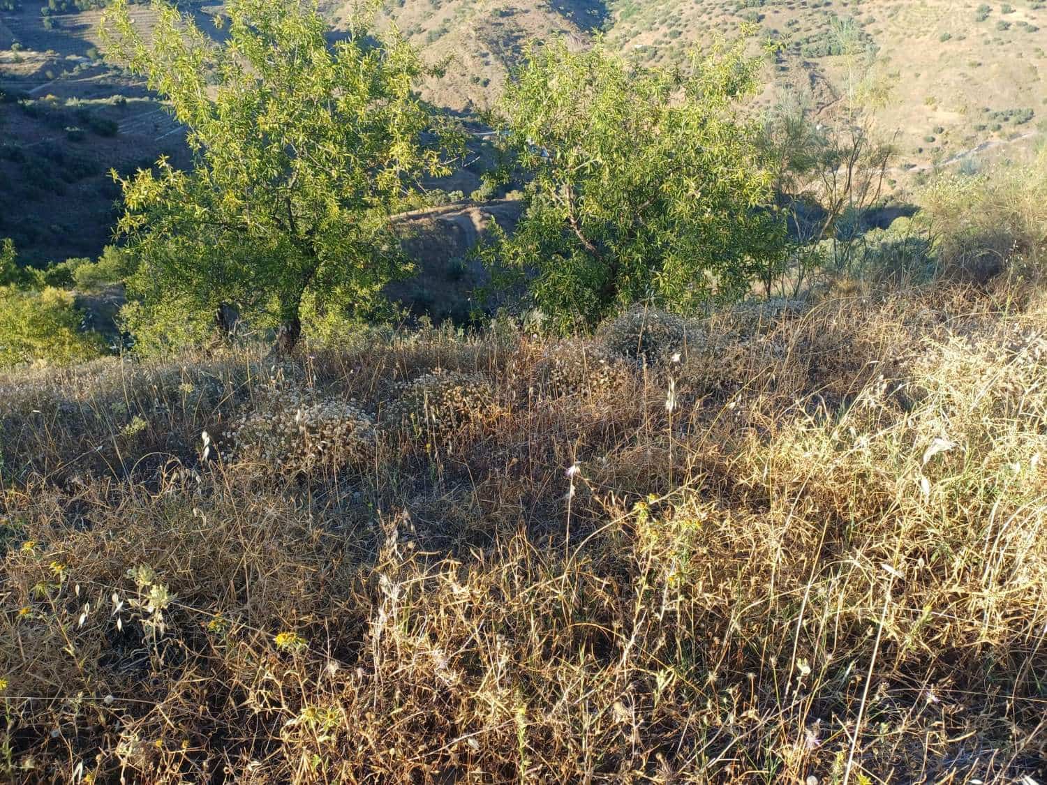 Terreno para Construção para venda em Moclinejo - 45 000 € (Ref: 9872931)
