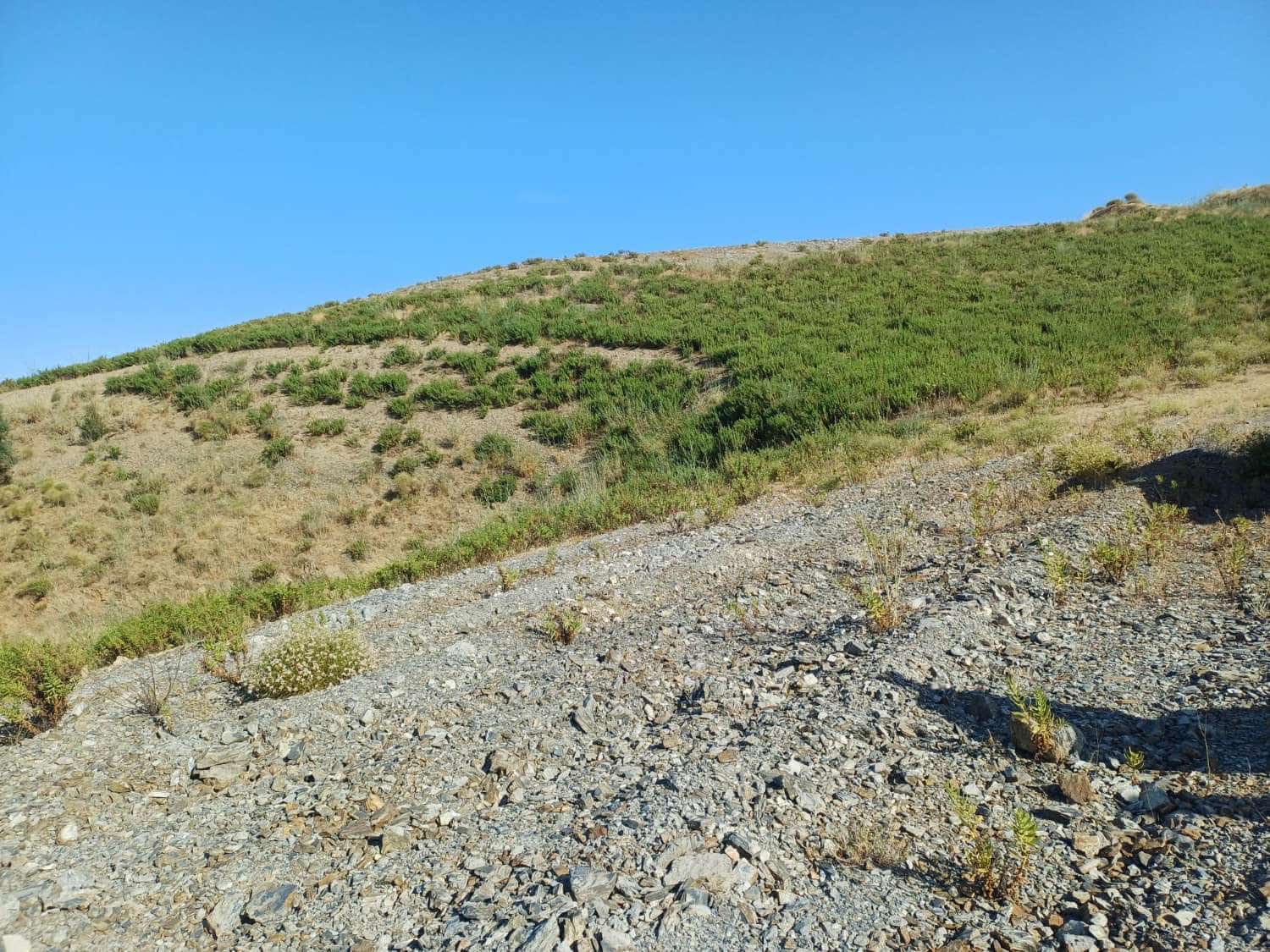 Tomt till salu i Vinuela - 155 000 € (Ref: 9950981)