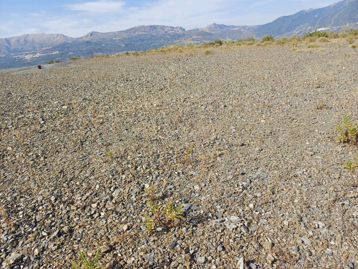 Tomt till salu i Vinuela - 155 000 € (Ref: 9950981)