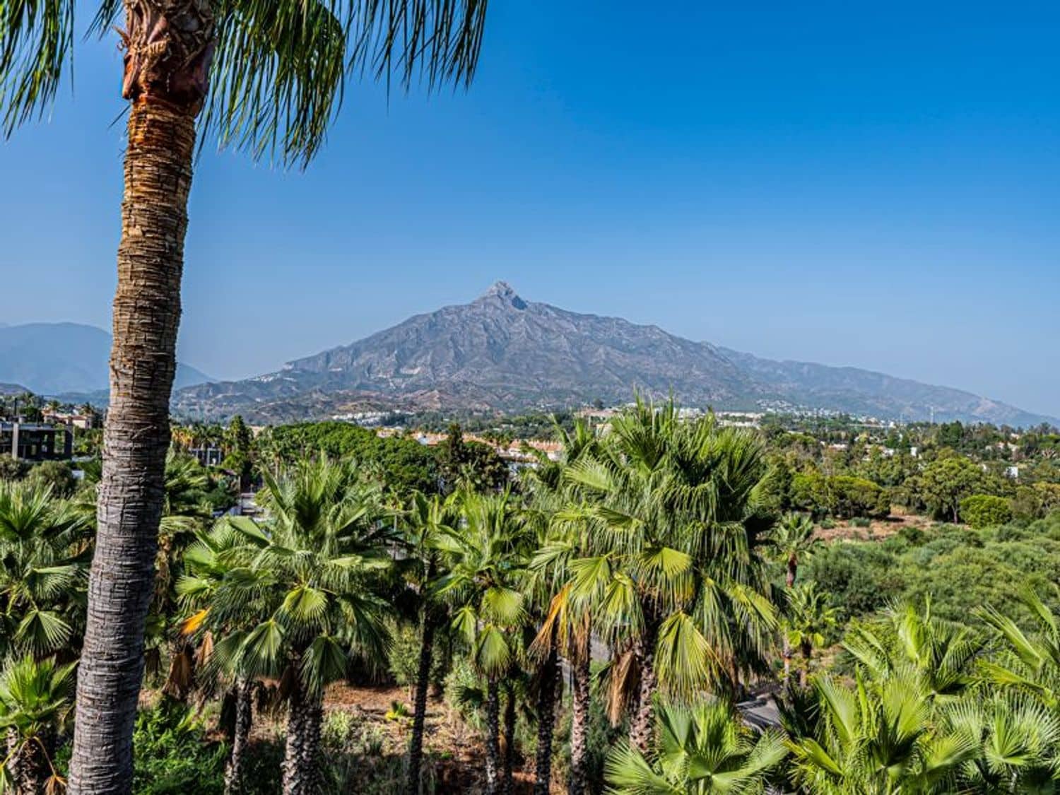 3 camera da letto Appartamento in vendita in Nueva Andalucia con piscina garage - 4.200.000 € (Rif: 10110453)